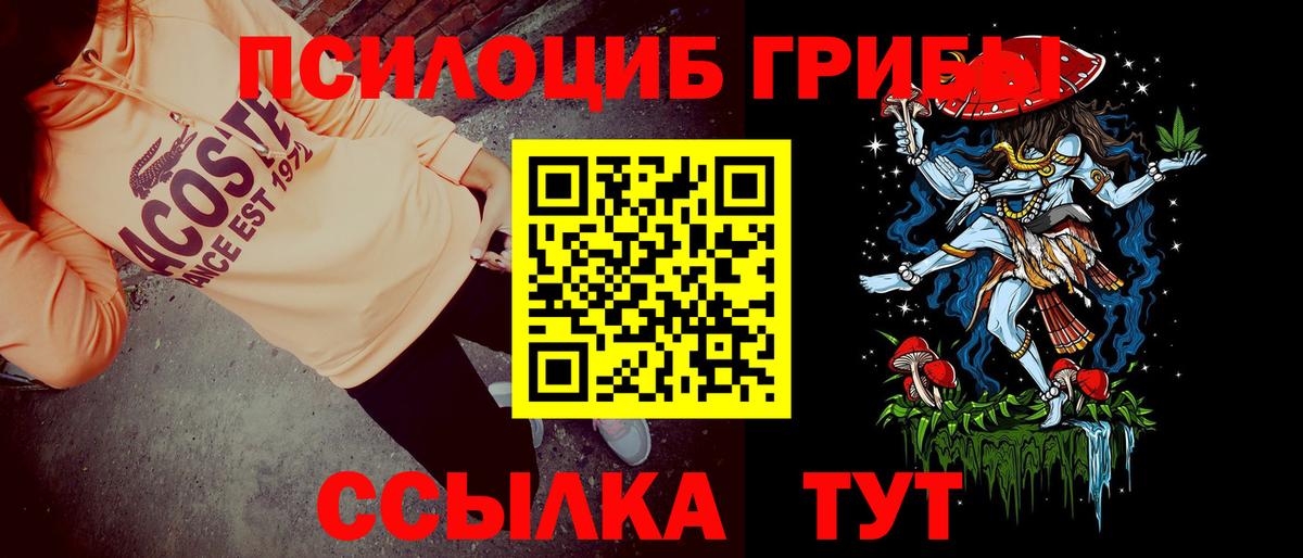 Чапаевск  дарнет шоп  Вход с VPN  Галлюциногенные грибы прущие грибы 